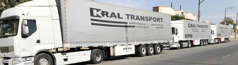 Proje ve Kombine Tasimaciligi